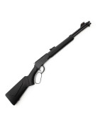 Rossi Rio Bravo